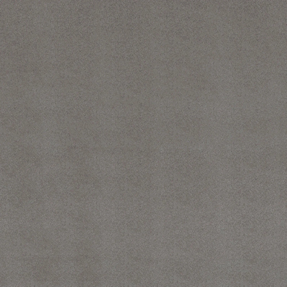 Shannon Fabrics - Cuddle - Alloy Cuddle Solid 90in Wide