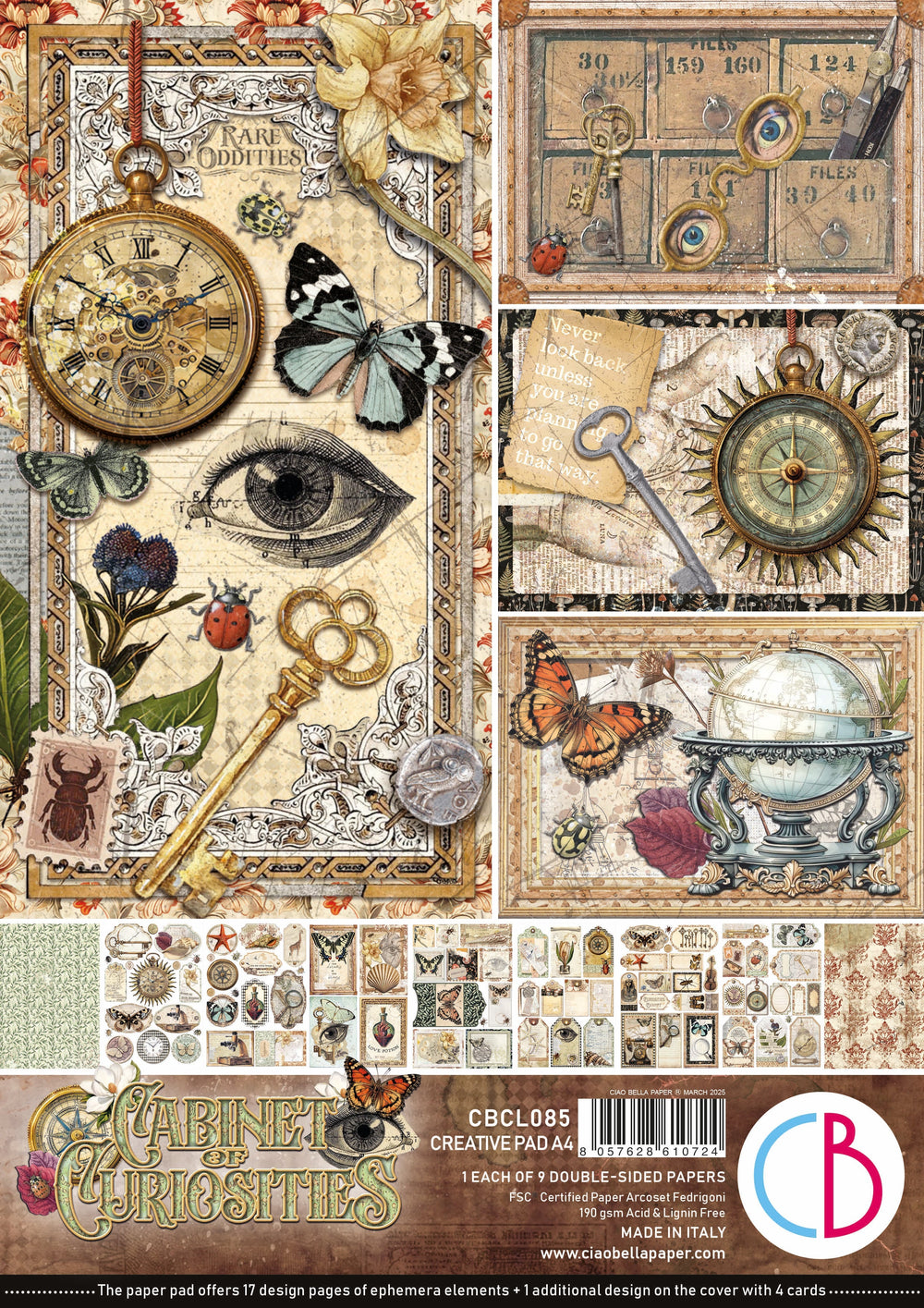 Carnet de création Cabinet Of Curiosities A4 9 feuilles/Paquet