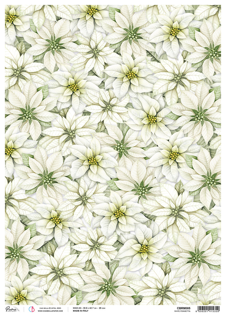 Ciao Bella Rice Paper A3 Piuma White Poinsettia - 3 Sheets — Ecstasy Crafts