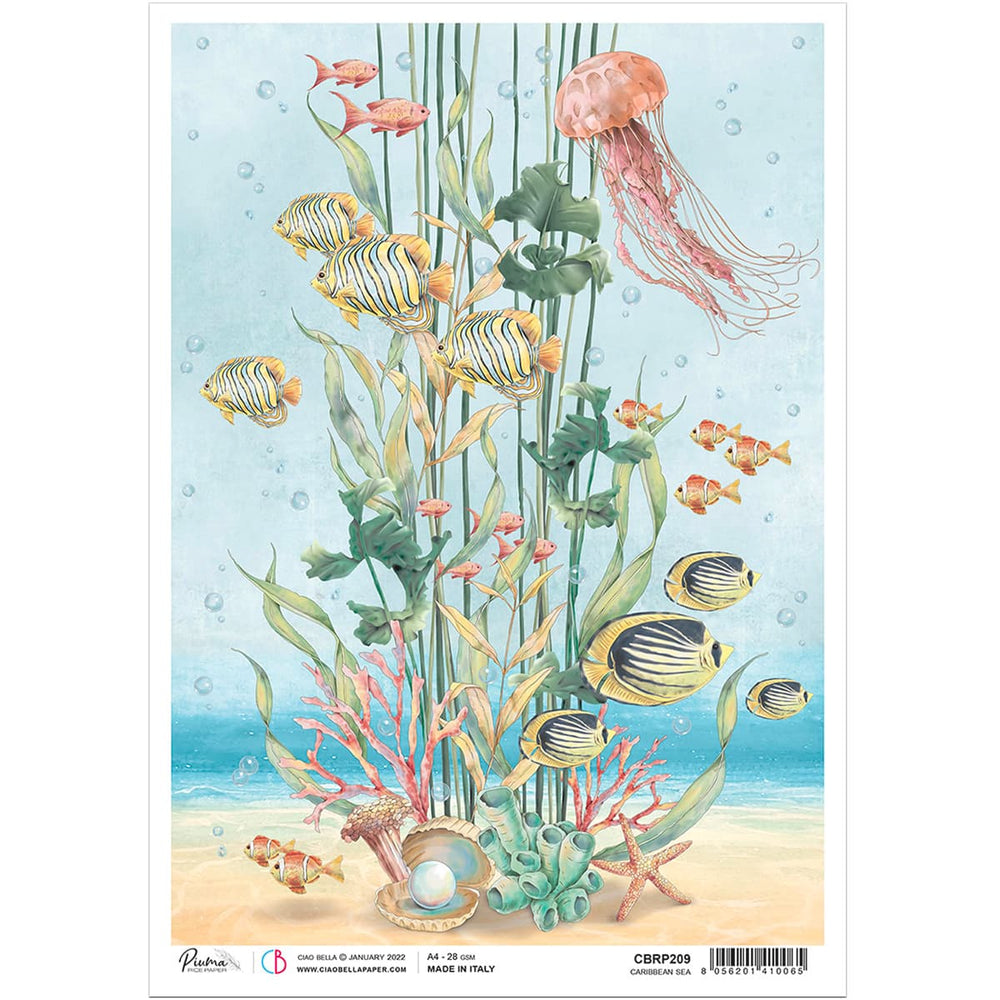 Ciao Bella Papier de Riz A4 Mer des Caraïbes