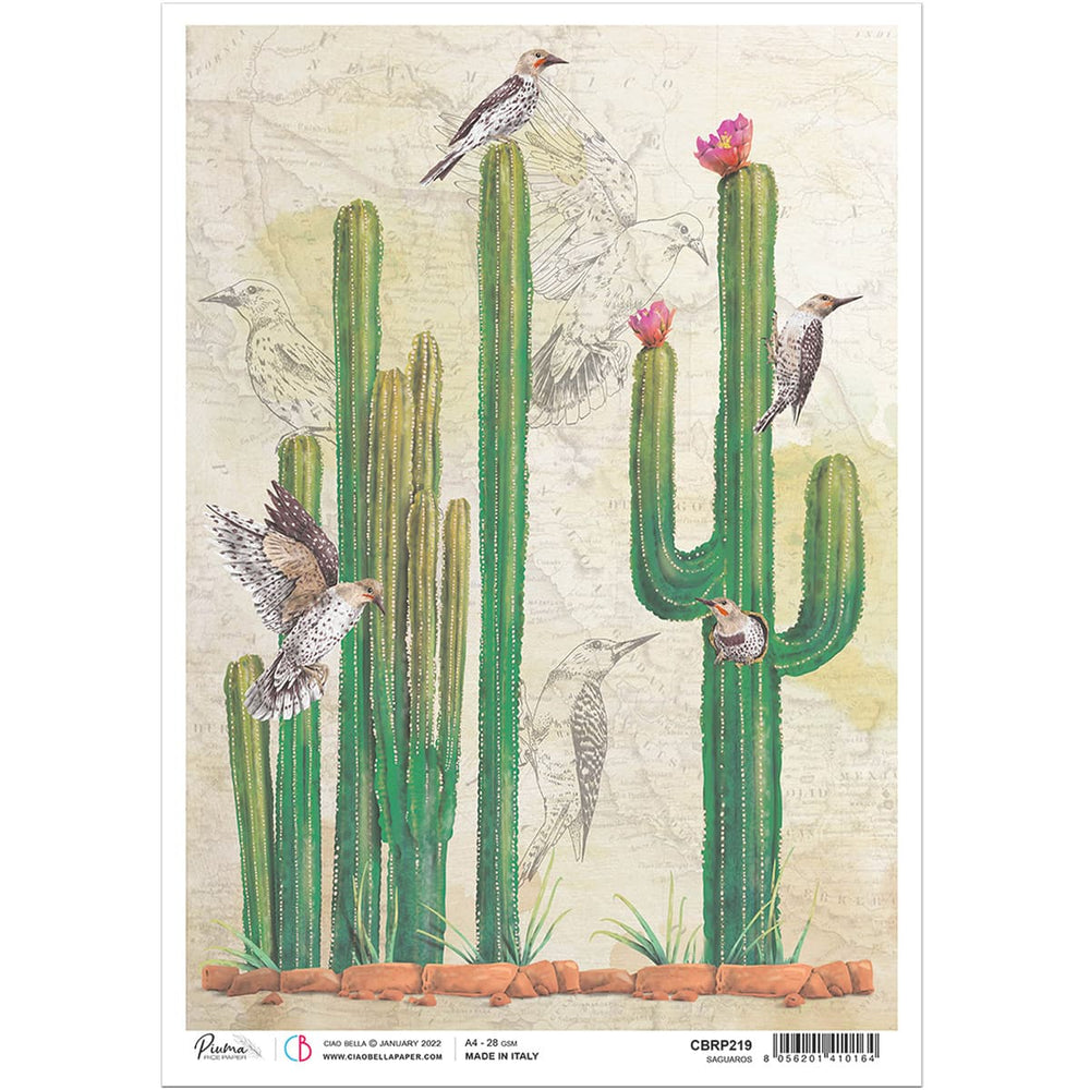 Ciao Bella Papier de Riz A4 Saguaros