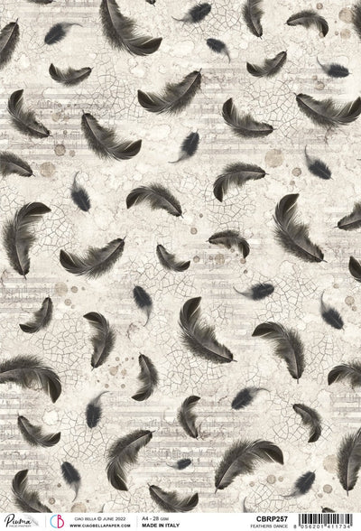 Ciao Bella Papier de Riz A4 Piuma Feathers Dance - 5 Feuilles