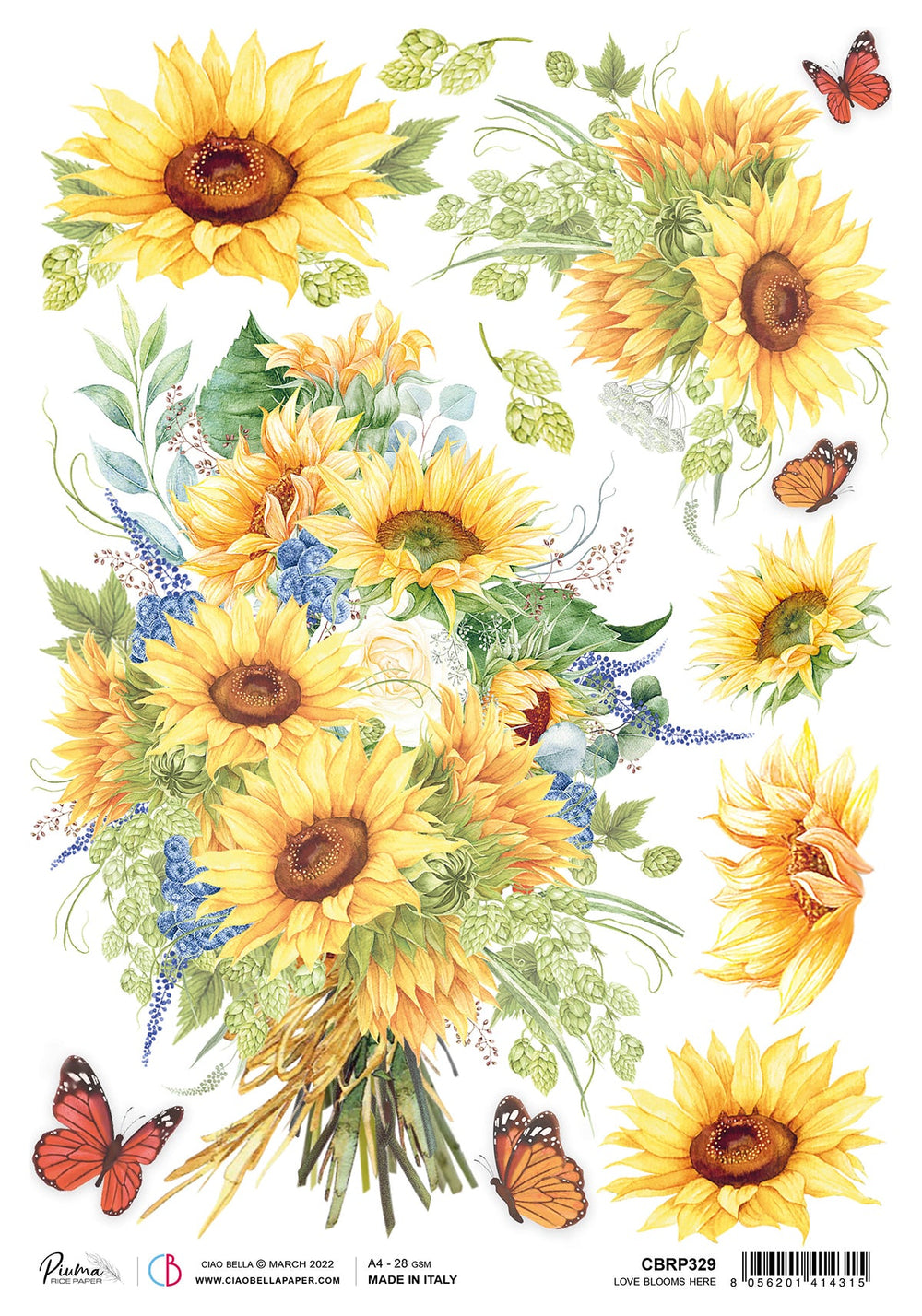 Ciao Bella Papier de Riz A4 Plume L'Amour Fleurit Ici - 5 Feuilles