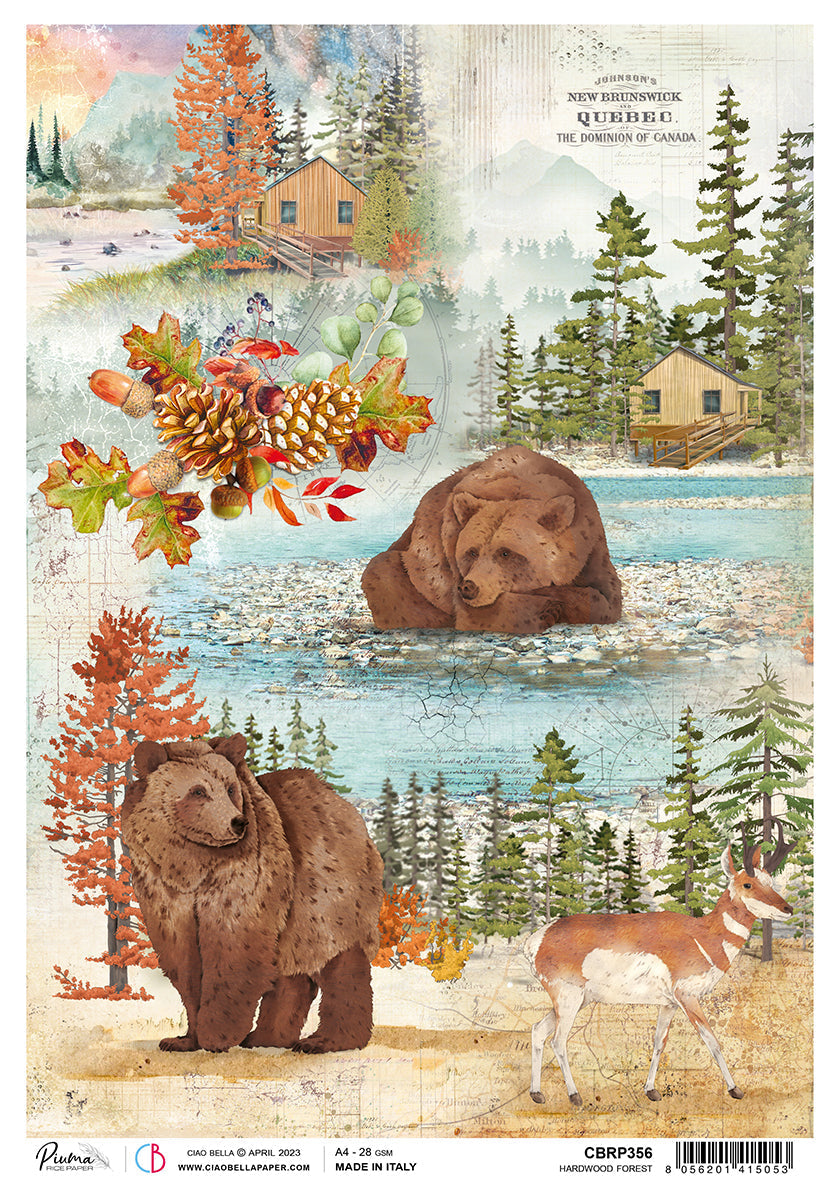 Ciao Bella Papier de Riz A4 Piuma Forêt de Harwood - 5 Feuilles