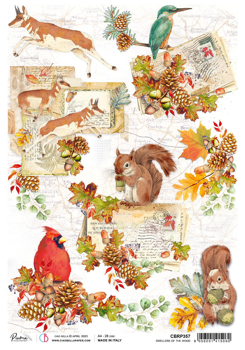Ciao Bella Rice Paper A4 Piuma Dwellers Of The Wood - 5 Sheets — Ecstasy Crafts
