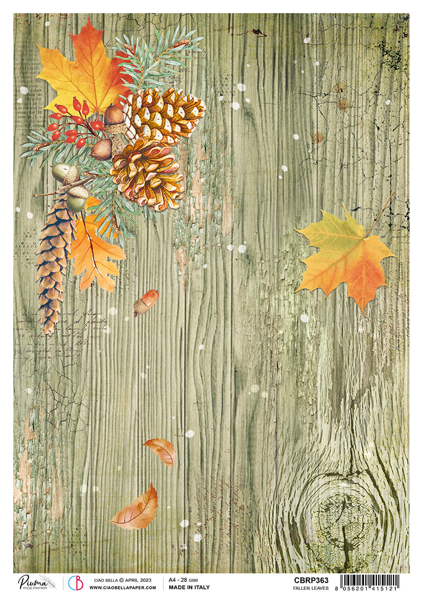 Ciao Bella Papier de Riz A4 Piuma Feuilles d'Automne - 5 Feuilles