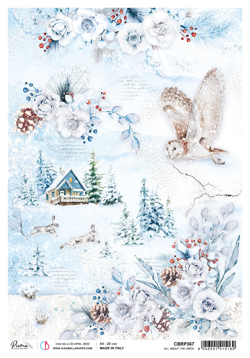 Ciao Bella Papier de Riz A4 Plume Tout Sur l'Arctique - 5 Feuilles