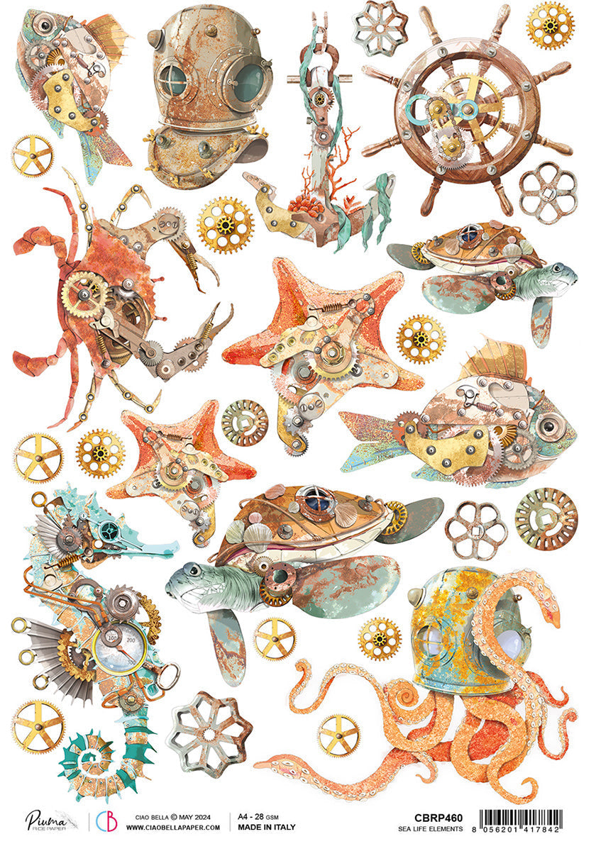 Rice Paper A4 Sea Life Elements - 5 Sheets — Ecstasy Crafts