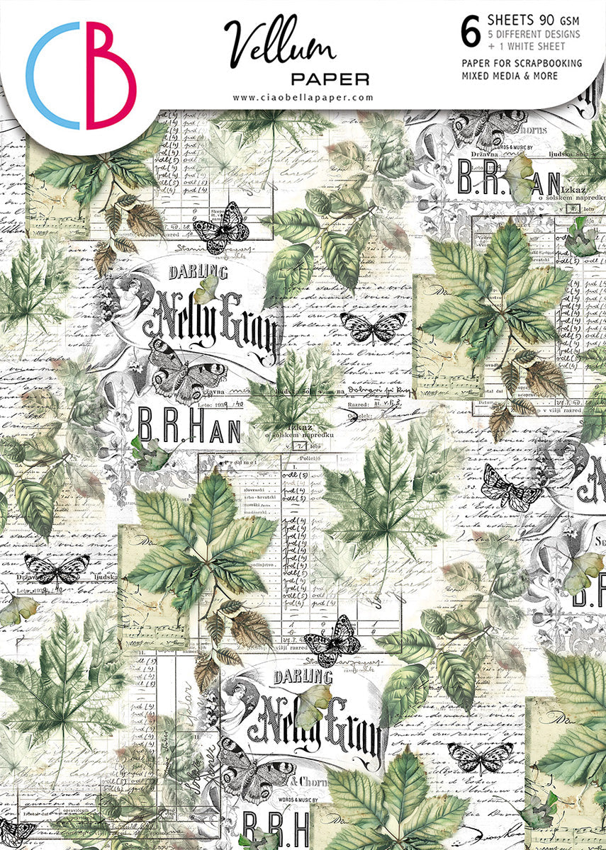 Vellum Cabinet Of Curiosities Paper Patterns A4 6/Pkg — Ecstasy Crafts