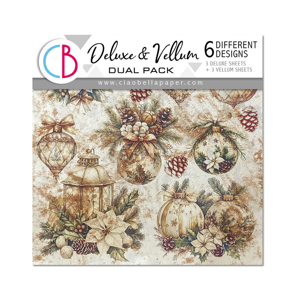 Papier de luxe perle cuivre et vélin paquet double MIXTE 6/paquet saison d'hiver