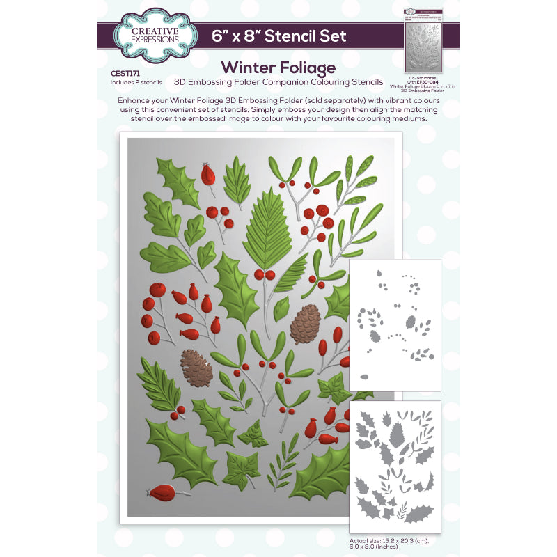 Creative Expressions Pochoir de coloriage compagnon Feuillage d'hiver 15,24 cm x 20,32 cm Lot de 2