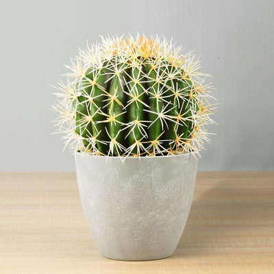 Cactus Artificiel Coco en Pot 11"
