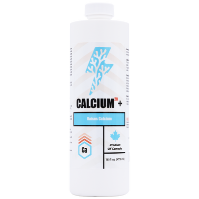 Calcium²⁰+