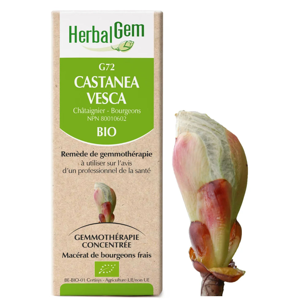 G72 - Castanea vesca - Chestnut Tree — Unytii - Suppléments et Produits Naturels
