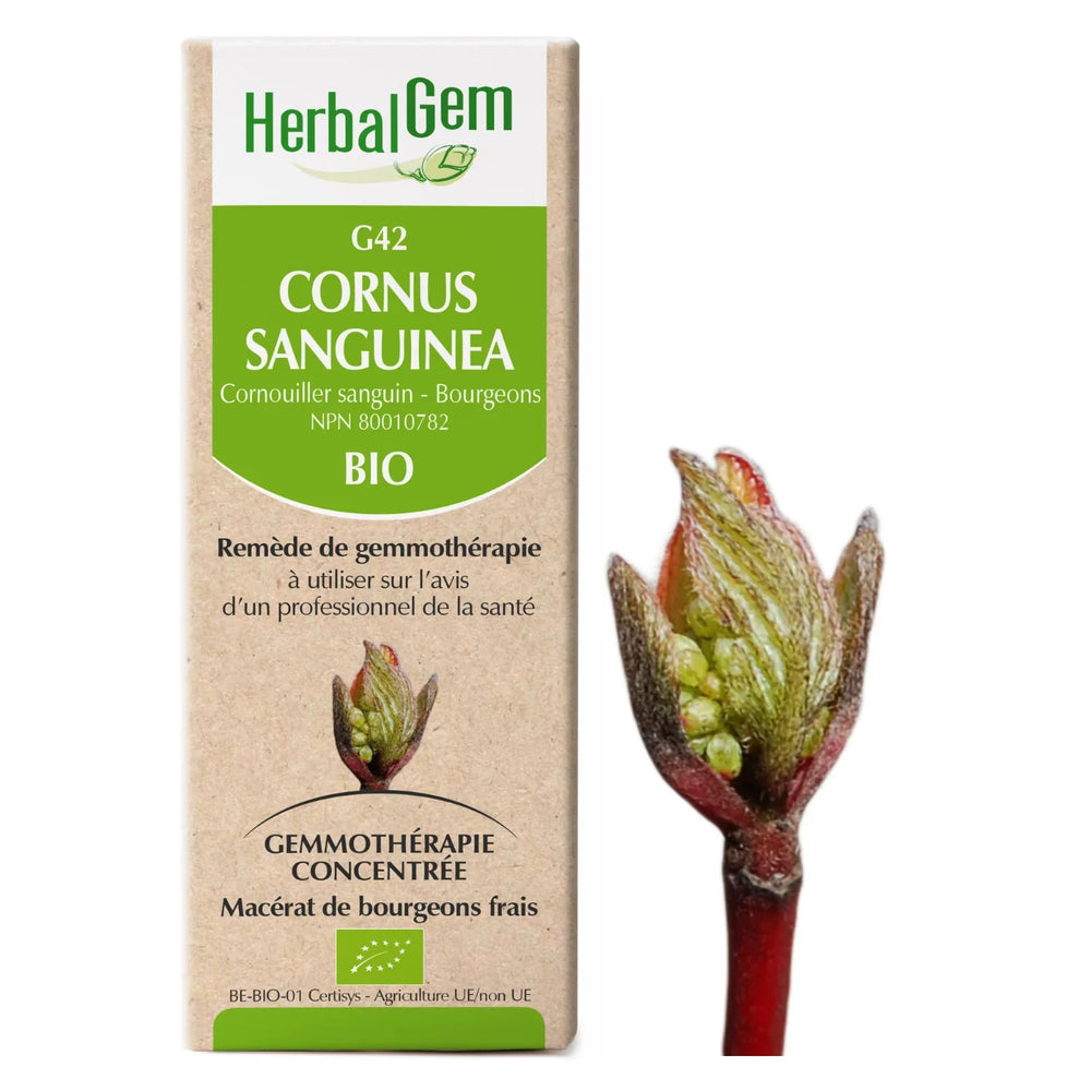 G42 - Cornus sanguinea - Bloodtwig Dogwood — Unytii - Suppléments et Produits Naturels