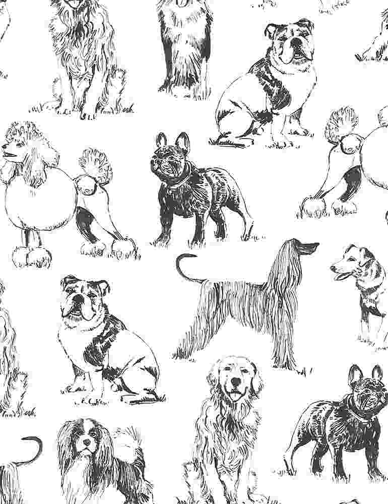 Timeless Treasures - Sketched Realistic Dogs — Cottage Quilting Ltd.