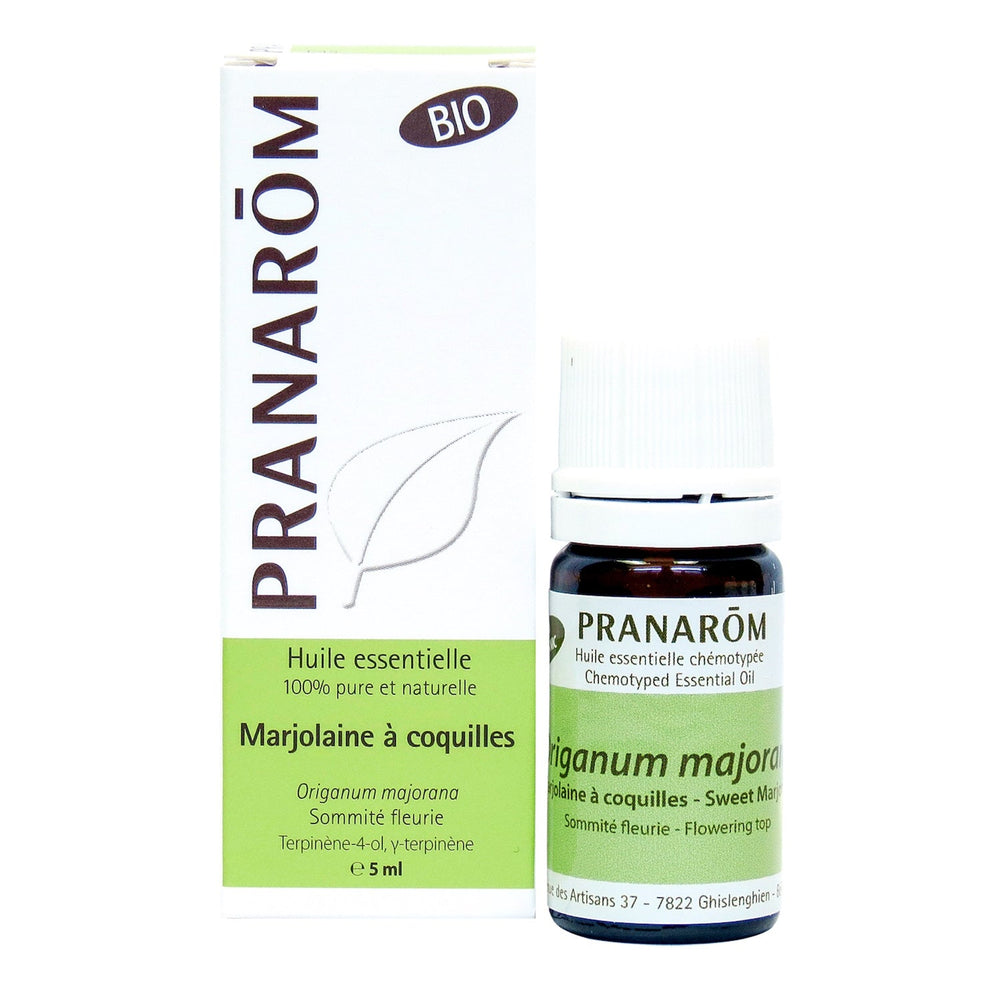 Shell Marjoram