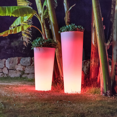 Ficus<br> Solar & Rechargeable