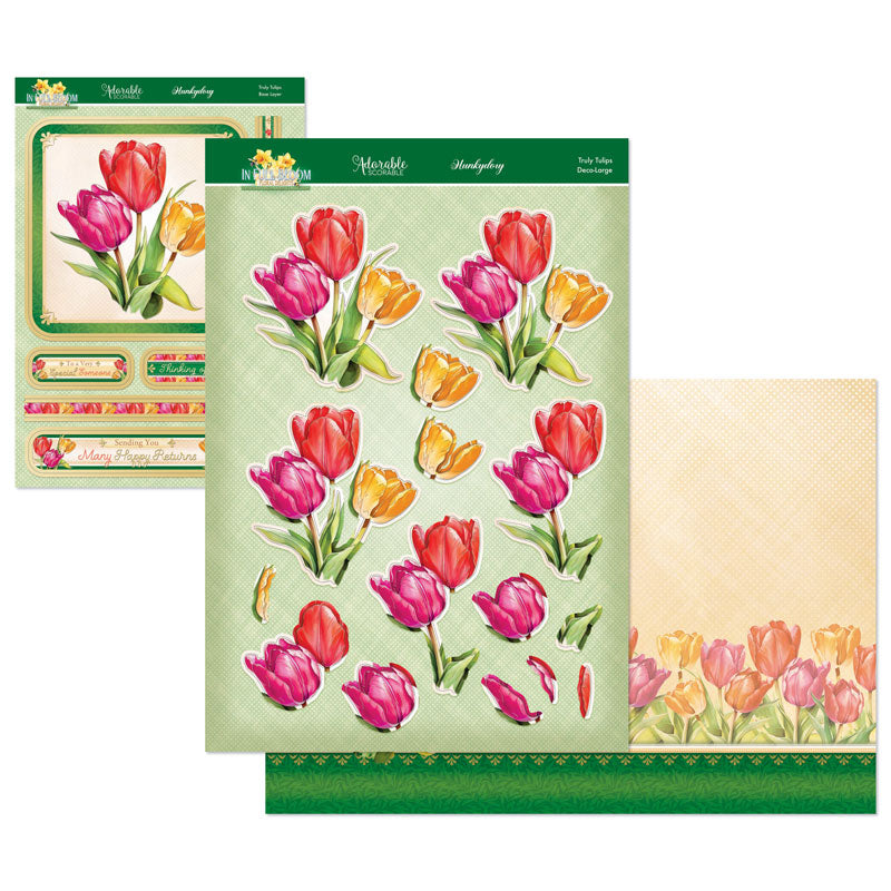 En Pleine Floraison - Kit de Décoration Florale Deco-Large - Magnifiques Tulipes