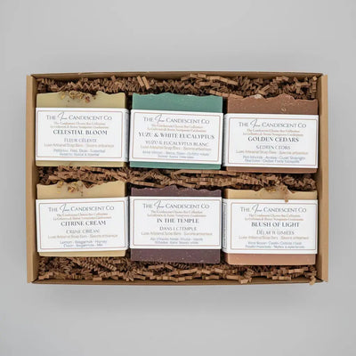 The Candescent Cleanse Bar Collection - Luxury Artisan Soap Bars - Signature Fragrance Bundle