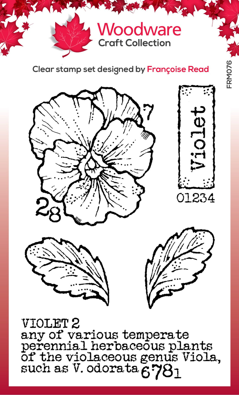 Woodware Clear Singles Mini Violet 3 in x 4 in Stamp Set — Ecstasy Crafts