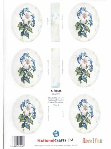 Fleurs blanches et bleues - ovales