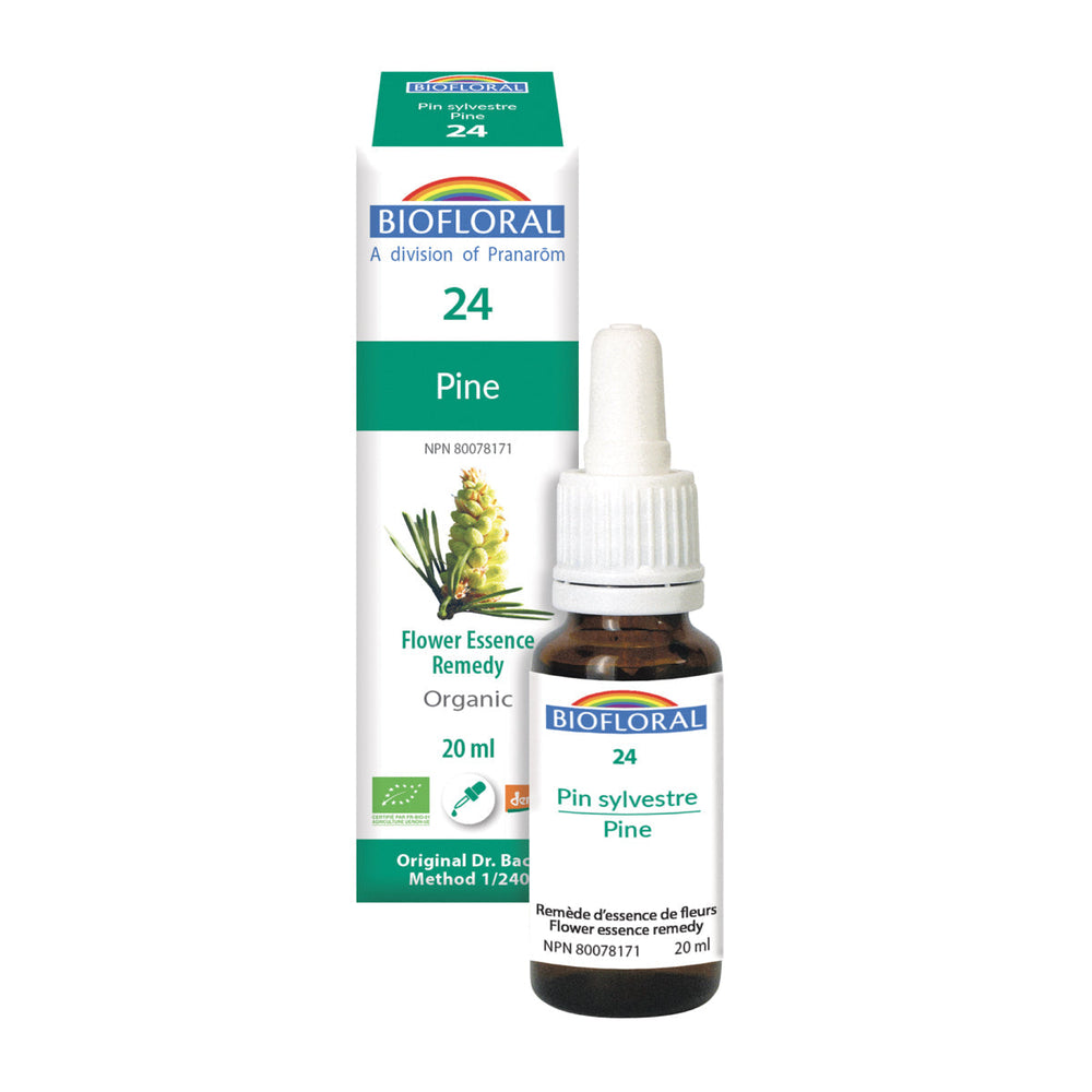 Pine — Unytii - Suppléments et Produits Naturels