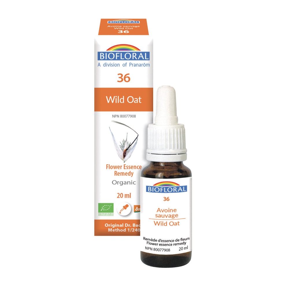 Wild Oat — Unytii - Suppléments et Produits Naturels