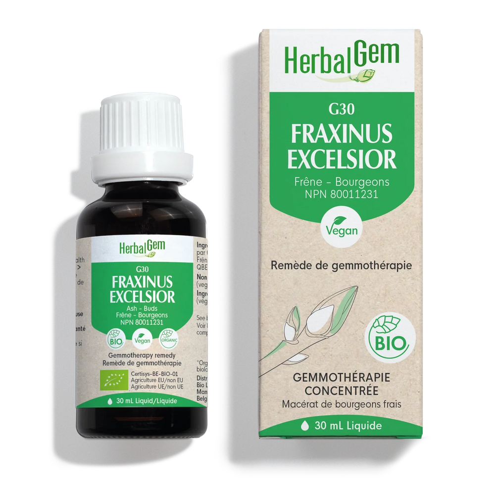 G30 - Fraxinus excelsior (Ash)