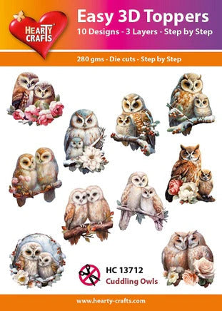 Hearty Crafts Faciles Décorations 3D - Hiboux Câlins