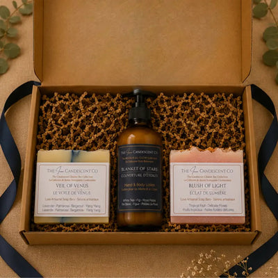 The Harmony & Light Discovery Bundle