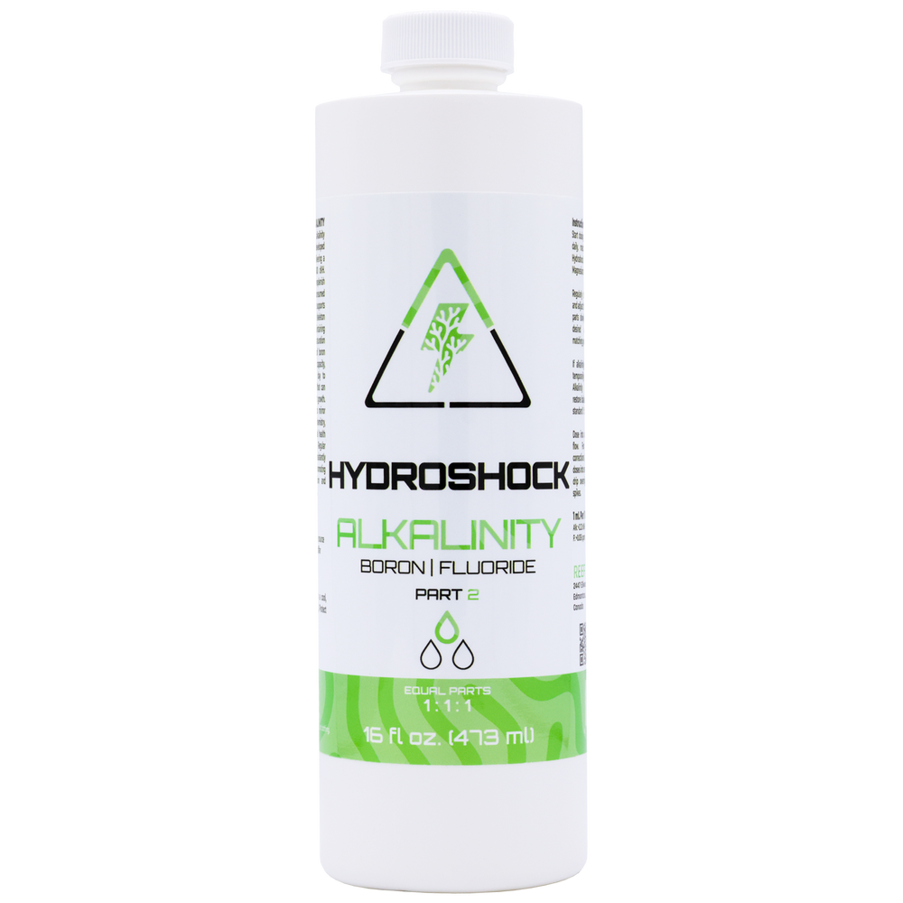 Hydroshock Alkalinity | Part 2