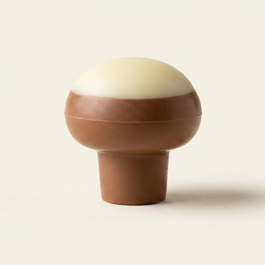 Milk Chocolate Mushroom Treat 100g — Rayhana Organics