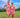 2026 “Elmay” Floral Print Par Tee Golf Dress