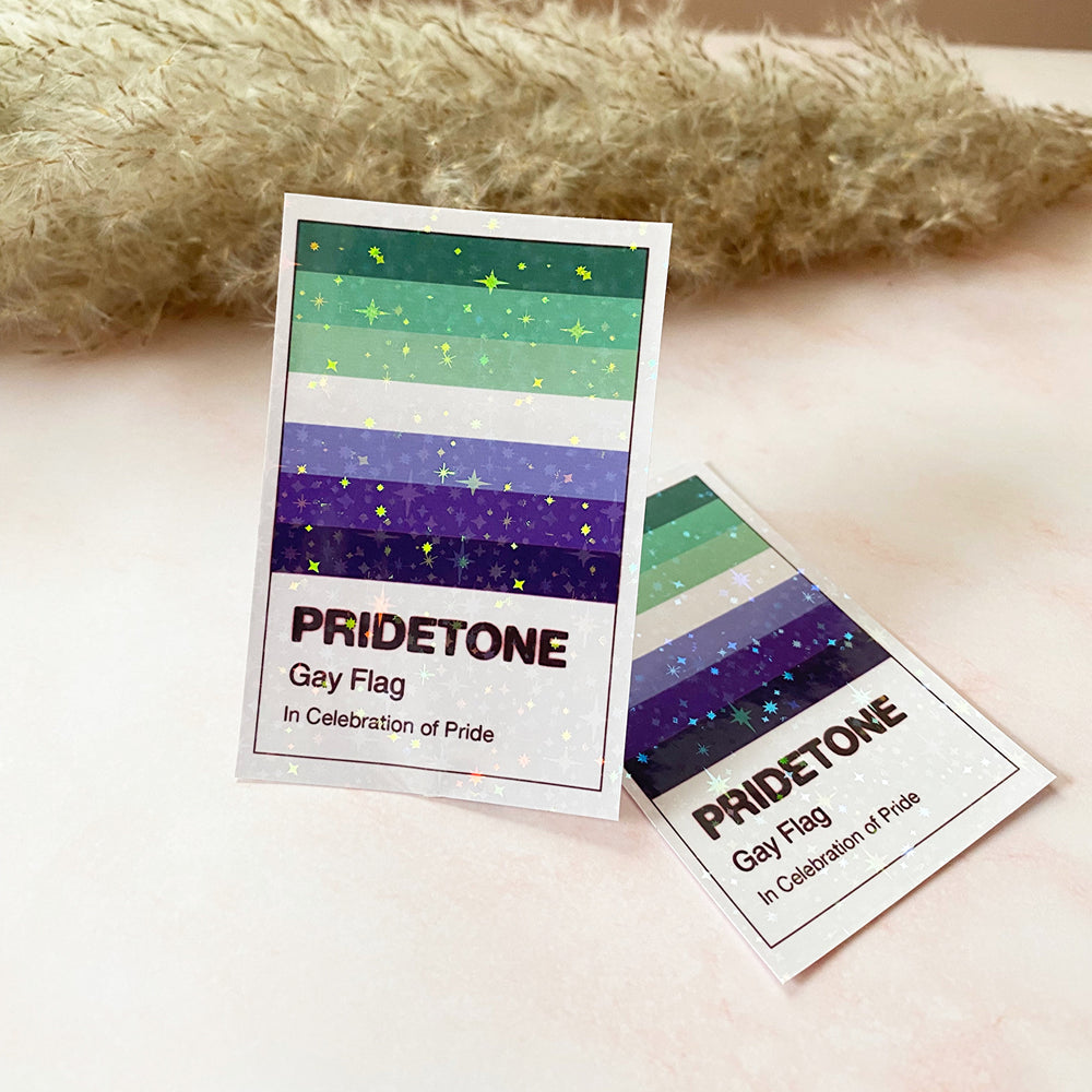 Drapeau gay Pridetone | Autocollant de la Fierté