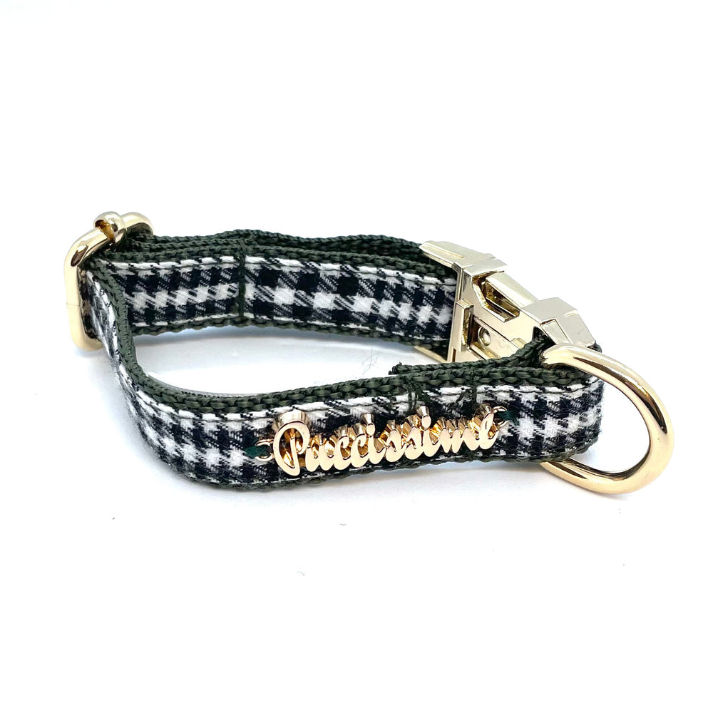 Collier de chien Fougère