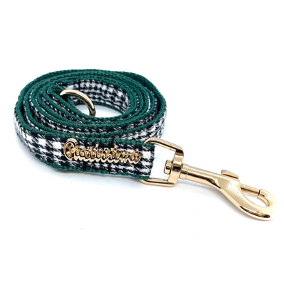 Fern dog leash with hands-free extension