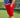 Canada EH? Men's Golf Shorts