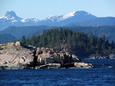 Carte 235 des Îles Discovery Nord : Kayak et navigation de plaisance