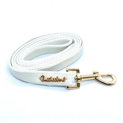 Swan leash with hands-free extension
