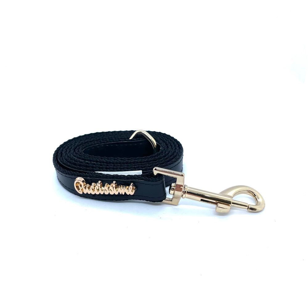 Laisse pour chien corbeau
