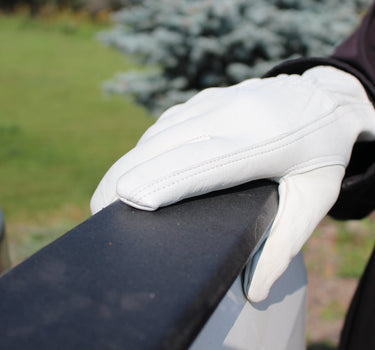 White Drivers GOAT-EE Glove Unlined (BOPO EDITION)