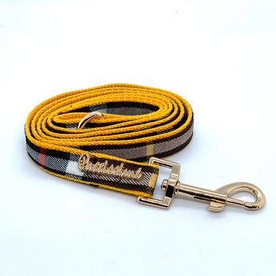 Laisse pour chien médaillon avec extension mains libres