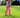 2025 Men's Golf Pants Sale