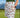 2026 Assorted Performance Casual Length Golf Skorts