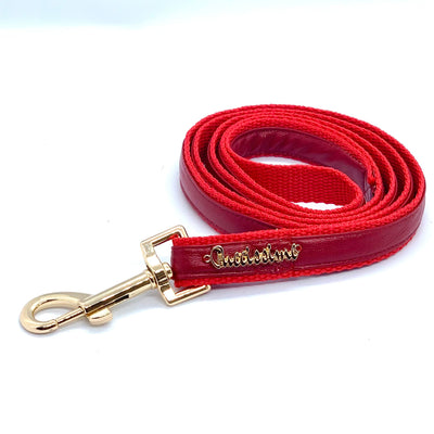 Cherry leash with hands-free extension