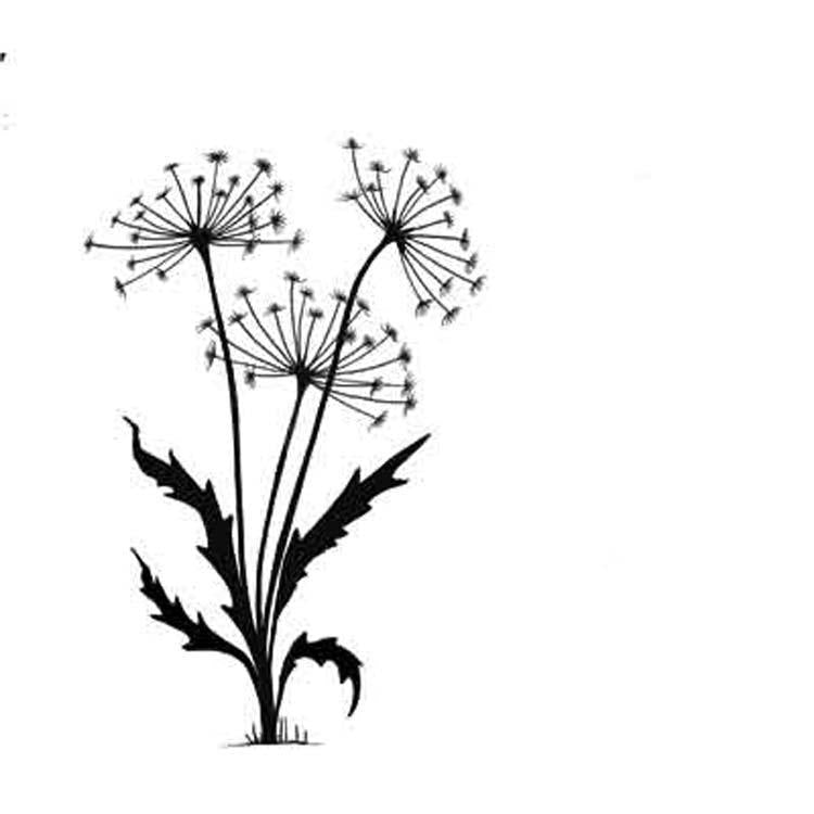 Lavinia Stamp - Dandelions 2 — Ecstasy Crafts