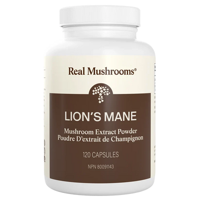 Lion's Mane