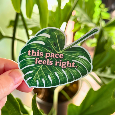 This Pace Feels Right Monstera Sticker