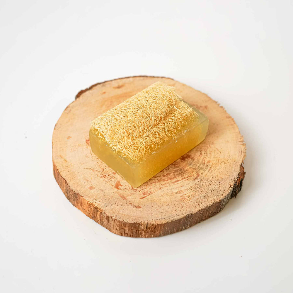 Éponge Végétale et Savon : Menthol